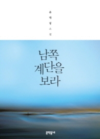 남쪽 계단을 보라 - 윤대녕 소설